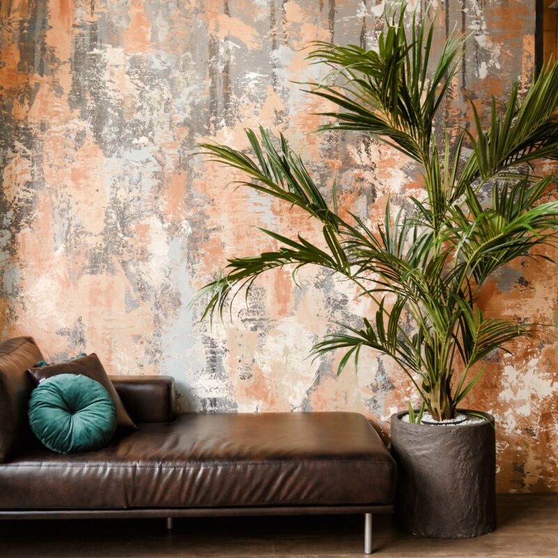 Modern leather couch and big houseplant in loft room
