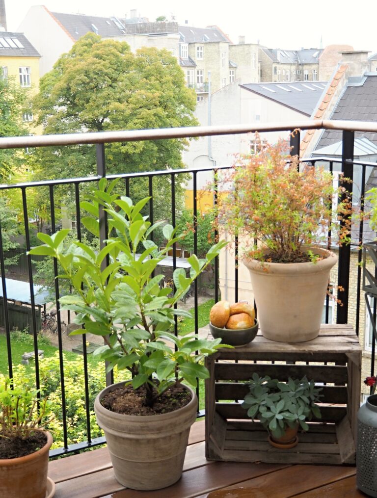 Fresh buns and plants in clay pots on the balcony on a rainy day.