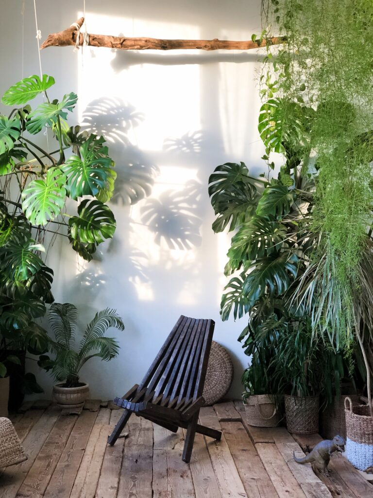 Plants shop